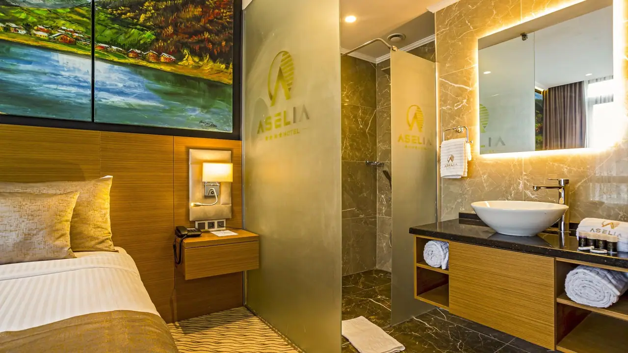 Aselia hotel